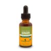 GINGER EXTRACT, 1 Oz.