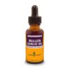 MULLEIN GARLIC OIL, 1 Oz.