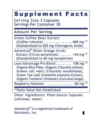 Premier Lean Advantage - Image 2