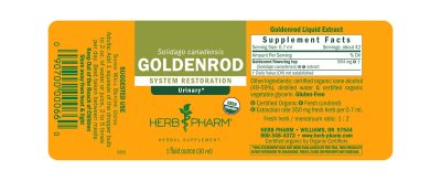 Goldenrod Extract 1oz - Image 2