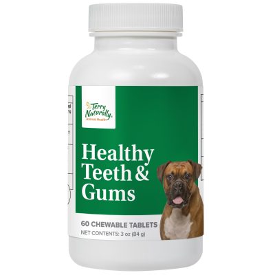 Healthy Teeth & Gums