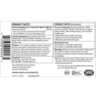 Healthy Teeth & Gums - Image 2