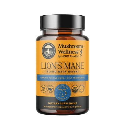 Lion’s Mane Blend with Reishi