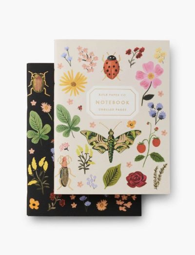 Pair of 2 Curio Pocket Notebooks